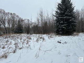 Photo 3: 18 Pinebrook Estates: Rural Thorhild County Vacant Lot/Land for sale : MLS®# E4372237