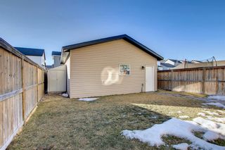Photo 45: 2293 Reunion Rise NW: Airdrie Detached for sale : MLS®# A1179963