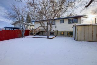 Photo 28: 212 Rundlefield Road NE in Calgary: Rundle Detached for sale : MLS®# A1166043