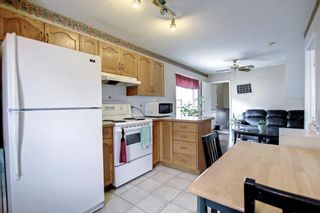 Photo 13: 142 Appleburn Close SE in Calgary: Applewood Park Detached for sale : MLS®# A1193945