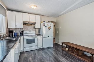 Photo 9: 205 Pineset Place NE in Calgary: Pineridge Semi Detached (Half Duplex) for sale : MLS®# A2052172