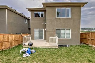 Photo 49: 131 Evansview Road NW in Calgary: Evanston Detached for sale : MLS®# A2136930