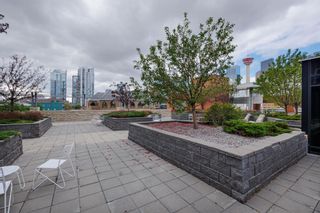 Photo 15: 3006 211 13 Avenue SE in Calgary: Beltline Apartment for sale : MLS®# A2127735