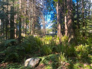 Photo 23: Lot B GRANDVIEW Road in Gibsons: Gibsons & Area Land for sale (Sunshine Coast)  : MLS®# R2860061