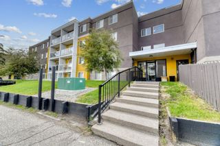 Photo 1: 103 4455A Greenview Drive NE in Calgary: Greenview Apartment for sale : MLS®# A1232838