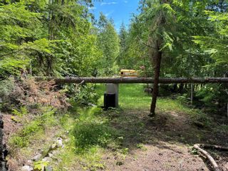 Photo 29: 2697 Cowan Road, in Sicamous: Vacant Land for sale : MLS®# 10271450