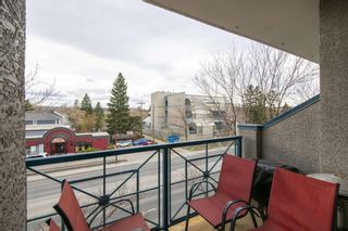 Photo 23: 302 4 14 Street NW in Calgary: Hillhurst Apartment for sale : MLS®# A1213657