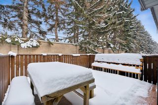 Photo 24: 5 140 Point Drive NW in Calgary: Point McKay Row/Townhouse for sale : MLS®# A2117738