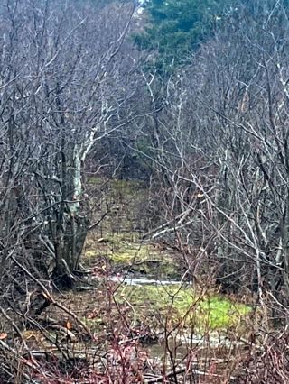 Photo 1: Lot New Road in West Havre Boucher: 302-Antigonish County Vacant Land for sale (Highland Region)  : MLS®# 202227585