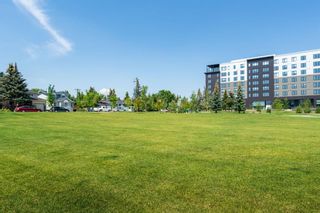 Photo 28: 305 495 78 Avenue SW in Calgary: Kingsland Apartment for sale : MLS®# A1244174