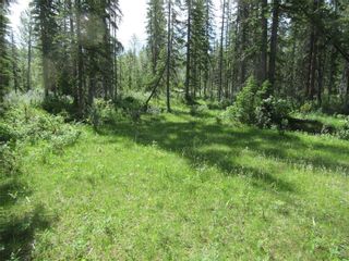 Photo 5: 70041 Highway 591: Rural Clearwater County Detached for sale : MLS®# C4305359