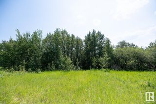 Photo 16: 23246 TWP  RD 521A: Rural Strathcona County Vacant Lot/Land for sale : MLS®# E4336314