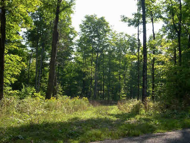 Main Photo: LOT 7 BASE LINE in ST. JOSEPH ISLAND: Vacant Land for sale : MLS®# SM101480