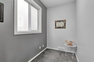 Photo 19: 14 Marquis Gardens SE in Calgary: Mahogany Detached for sale : MLS®# A2137876