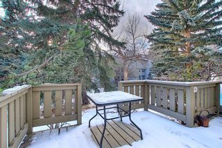 Photo 35: 213 Point Mckay Terrace NW in Calgary: Point McKay Row/Townhouse for sale : MLS®# A1050776