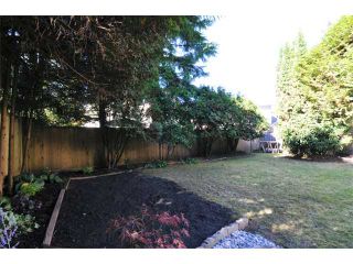 Photo 10: 1245 BLUFF Drive in Coquitlam: River Springs House for sale : MLS®# V975554