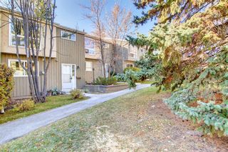 Photo 4: 40 11407 Braniff Road SW in Calgary: Braeside Row/Townhouse for sale : MLS®# A1156084