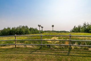 Photo 38: 40201 on Range Road 19-2 in Rural Stettler No. 6, County of: Rural Stettler County Detached for sale : MLS®# A1175853