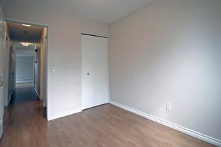 Photo 29: 121 Mckinnon Crescent NE in Calgary: Mayland Heights Semi Detached (Half Duplex) for sale : MLS®# A1245207
