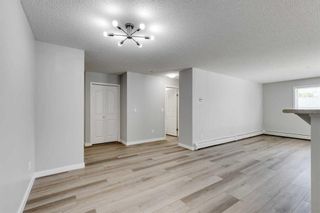 Photo 24: 4101 4975 130 Avenue SE in Calgary: McKenzie Towne Apartment for sale : MLS®# A2044565