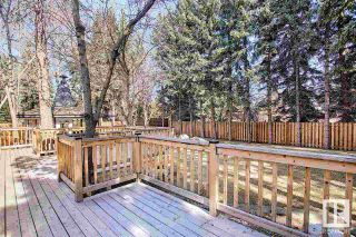 Photo 18: 12 QUESNELL Road in Edmonton: Zone 22 House for sale : MLS®# E4322957