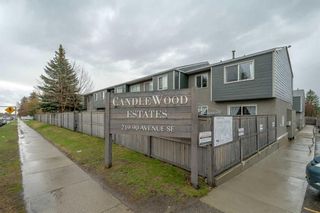 Photo 36: 12 219 90 Avenue SE in Calgary: Acadia Row/Townhouse for sale : MLS®# A2127830