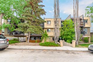 Photo 1: 305 60 38A Avenue SW in Calgary: Parkhill Apartment for sale : MLS®# A2050079
