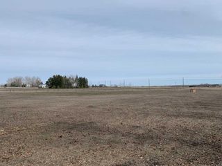 Photo 7: 48235 365 Avenue E: Rural Foothills County Residential Land for sale : MLS®# A2125044