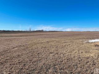 Photo 5: SH 616 RR 10: Rural Wetaskiwin County Rural Land/Vacant Lot for sale : MLS®# E4285997