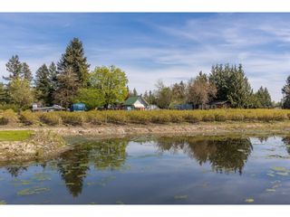 Photo 32: 6905 BRADNER ROAD in Abbotsford: House for sale : MLS®# R2874919
