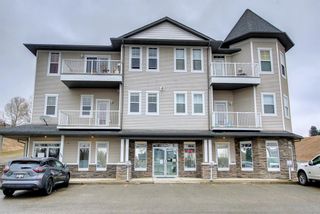 Photo 1: 205 144 Crescent Road: Okotoks Apartment for sale : MLS®# A1209503