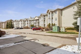 Photo 2: 3304 6818 Pinecliff Grove NE in Calgary: Pineridge Apartment for sale : MLS®# A2124115