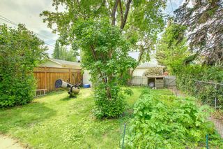 Photo 14: 221 10A Street NW in Calgary: Hillhurst Detached for sale : MLS®# A1252867