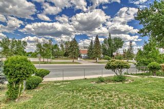 Photo 43: 1507 44 Street SE in Calgary: Forest Lawn Detached for sale : MLS®# A2052553