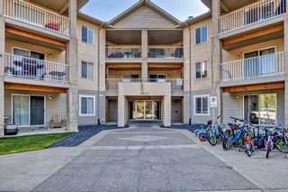 Photo 23: 216 1000 Citadel Meadow Point NW in Calgary: Citadel Apartment for sale : MLS®# A2070515