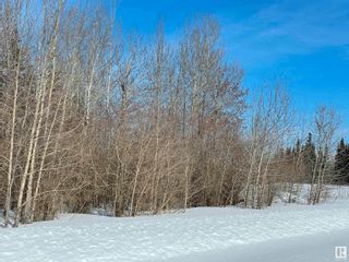 Photo 8: 231 Rge Rd, 624 Twp Rd: Rural Athabasca County Rural Land/Vacant Lot for sale : MLS®# E4281157