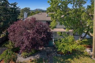 Photo 1: 520 Agnes St in Saanich: SW Glanford House for sale (Saanich West)  : MLS®# 913863