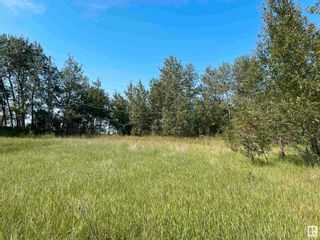 Photo 14: 56519 Range Road 220: Rural Sturgeon County Land Commercial for sale : MLS®# E4352404