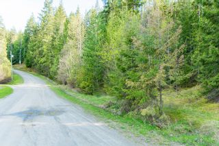 Photo 48: 3,4,6 Armstrong Road in Eagle Bay: Vacant Land for sale : MLS®# 10133907