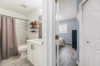 Photo 11: 199 Applestone Park SE in Calgary: Applewood Park Detached for sale : MLS®# A2050171
