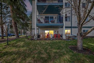 Photo 37: 118 20 Dover Point SE in Calgary: Dover Apartment for sale : MLS®# A2124249
