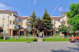 Photo 6: 307 1715 35 Street SE in Calgary: Albert Park/Radisson Heights Apartment for sale : MLS®# A2017879