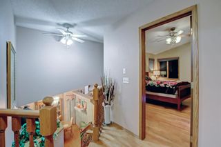 Photo 22: 58 Applecrest Place SE in Calgary: Applewood Park Detached for sale : MLS®# A1188820