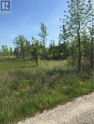 Photo 11: Pt Lt 33 Clover Valley Road E in Manitowaning: Vacant Land for sale : MLS®# 2116051