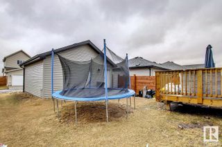 Photo 48: 3718 8 Avenue in Edmonton: Zone 53 House for sale : MLS®# E4291066