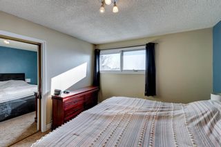 Photo 20: 12 Hawkville Place NW in Calgary: Hawkwood Detached for sale : MLS®# A1173532