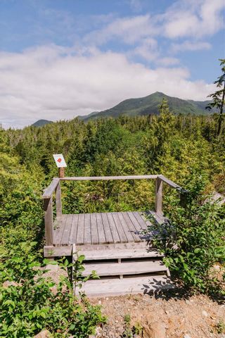 Photo 13: LOT D Hawkes Rd in Ucluelet: PA Ucluelet Land for sale (Port Alberni)  : MLS®# 924866