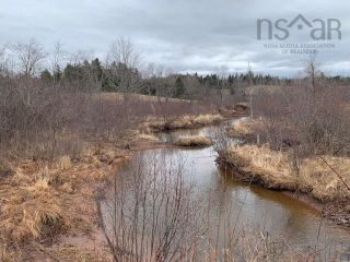 Photo 18: 1451 Hansford Road in Hansford: 102N-North Of Hwy 104 Residential for sale (Northern Region)  : MLS®# 202306271