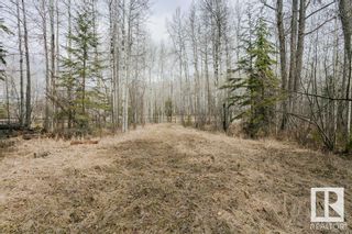 Photo 11: 22 Lakeshore Drive: Rural Wetaskiwin County Vacant Lot/Land for sale : MLS®# E4330516