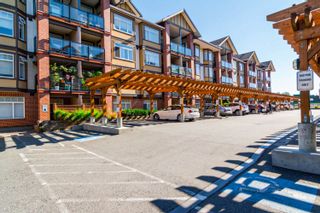 Photo 3: 232 5660 201A Street in Langley: Langley City Condo for sale in "Paddington Station" : MLS®# R2871313